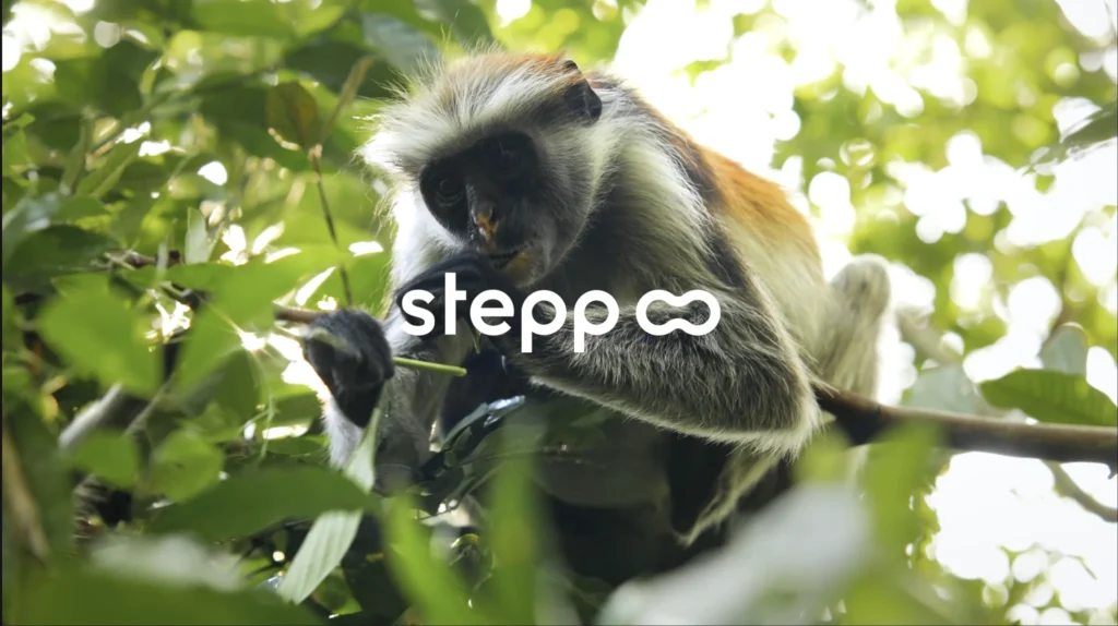 Stepp Footcare